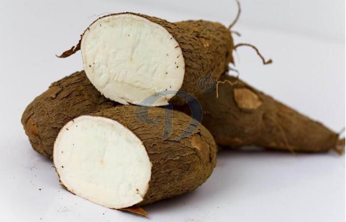cassava flour processing machines
