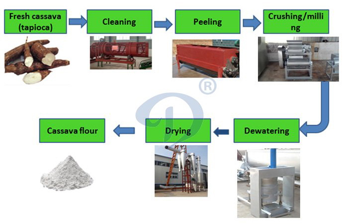 cassava flour processing