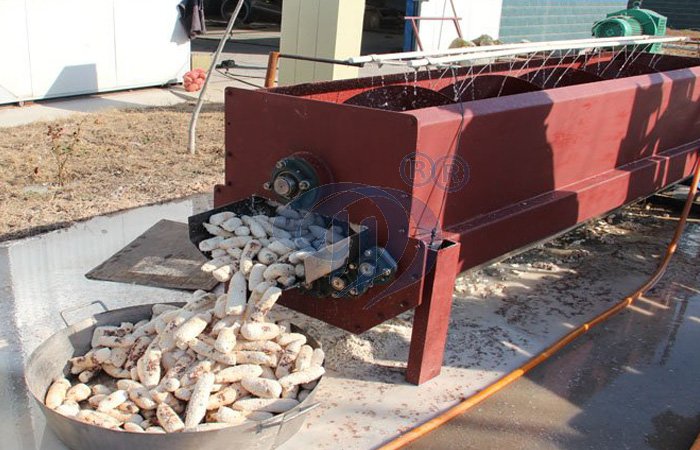 cassava washing machine