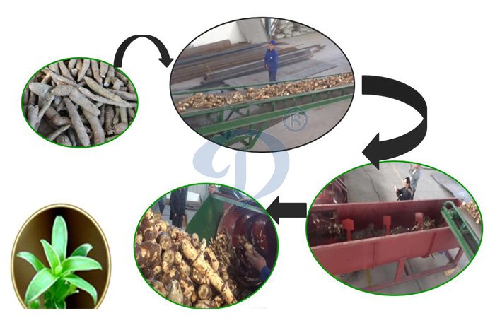 starch extraction from cassava