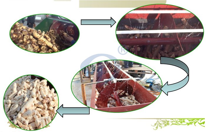 cassava peeling machine