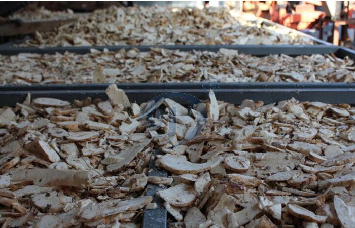 How do I start cassava chips exporting business?