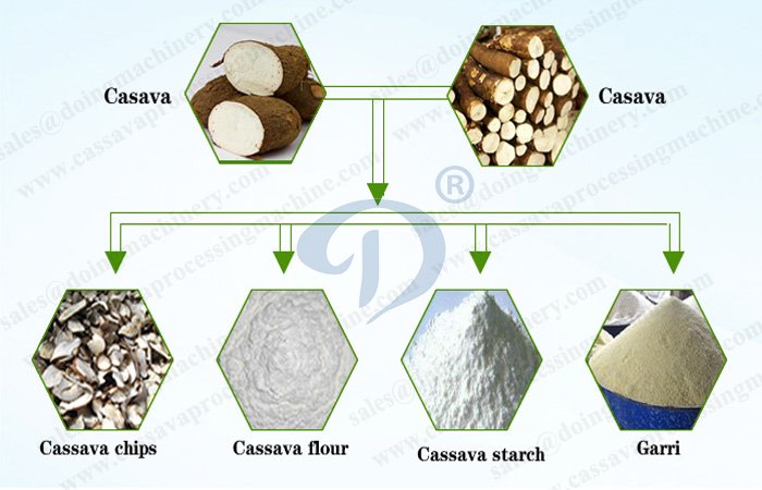 final cassava production