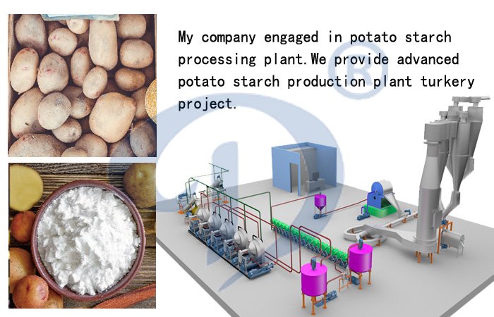 potato starch processing plant workshop