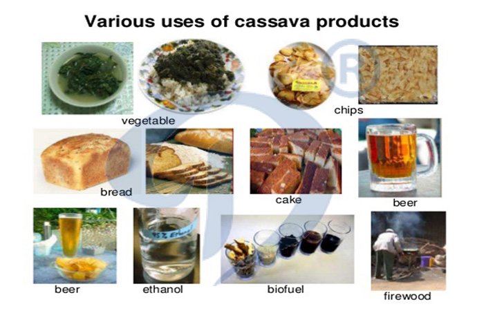 cassava flour deep product