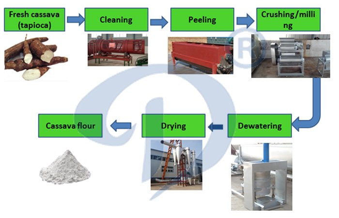 cassava flour processing machine and the chart flow