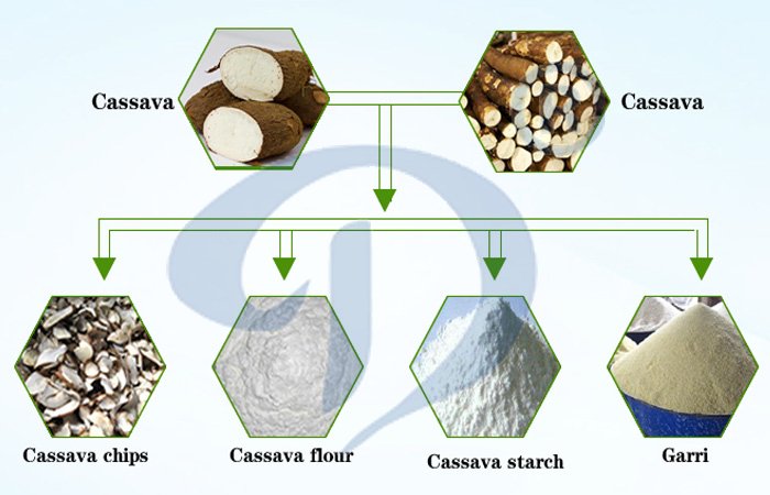 application of cassava tuber