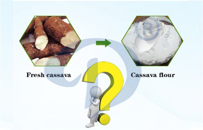 Cassava flour processing machine