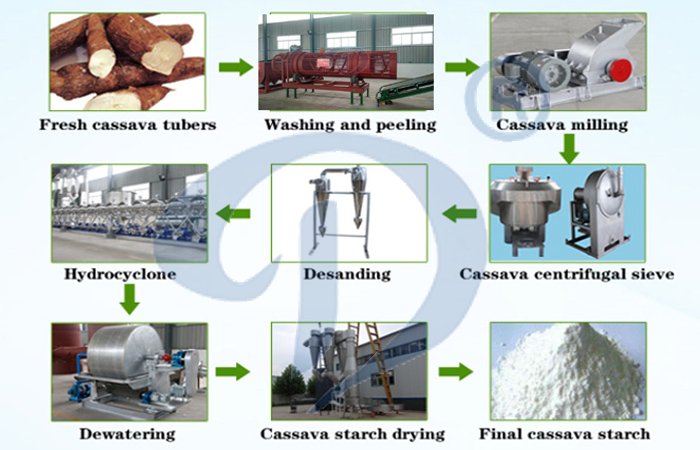 cassava starch processing plant