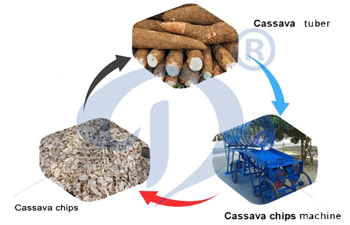 Cassava machinery