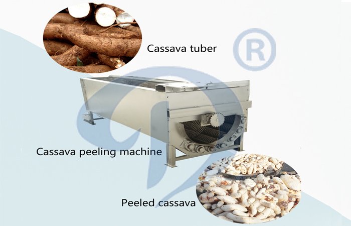 Peeling machine for cassava processing