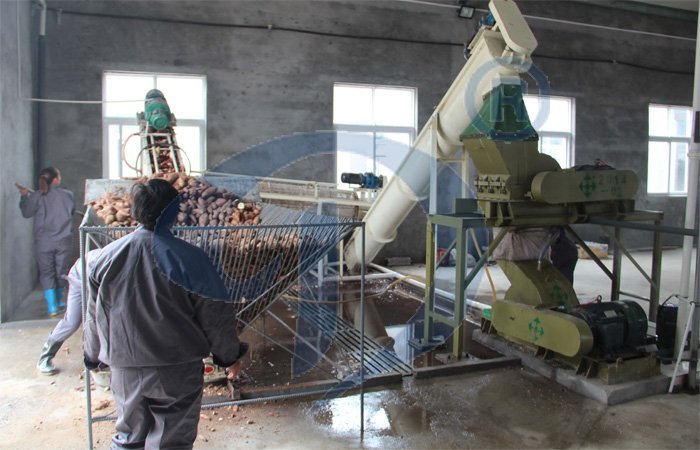 sweet potato starch production machine