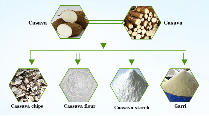 cassava starch production application