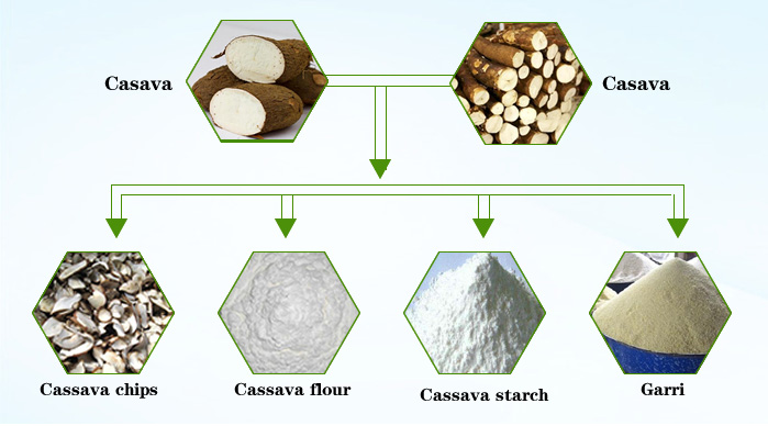 cassava processing