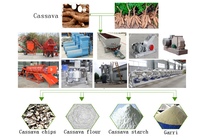 cassava processing equipment