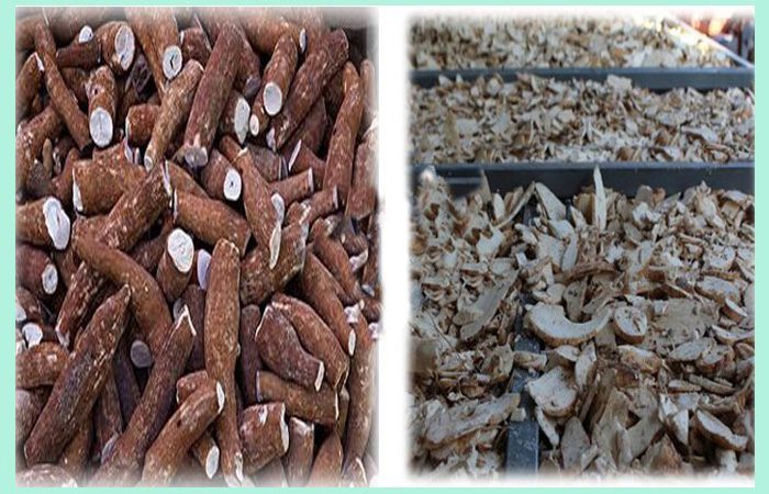 cassava chips processing machine