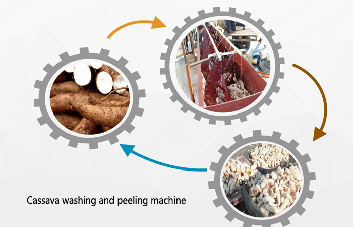 cassava peeling machine