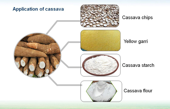 Cassava processing machines from DOING company