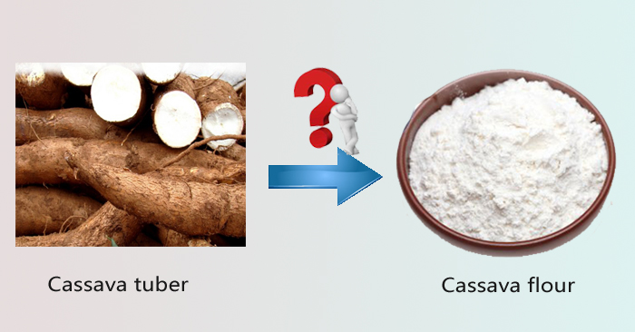 Cassava flour processing machine