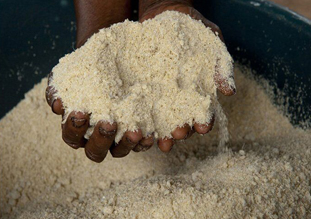 garri processing plant