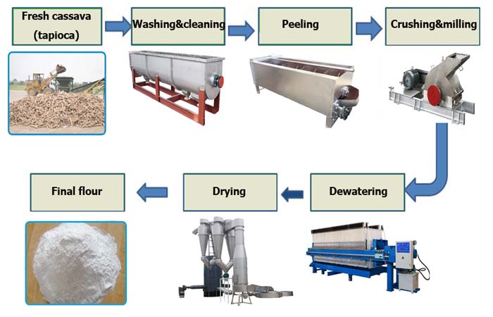 cassava flour making process