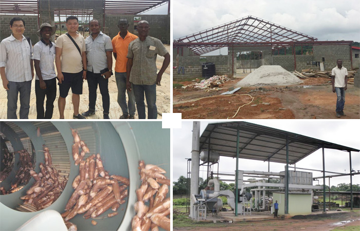 establishment of a cassava starch factory