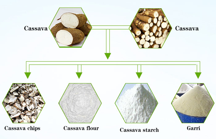 cassavs starch processing