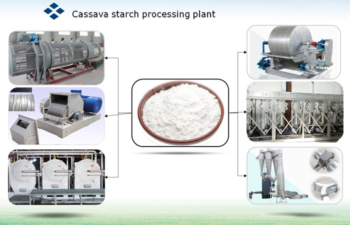 establishment of a cassava starch factory