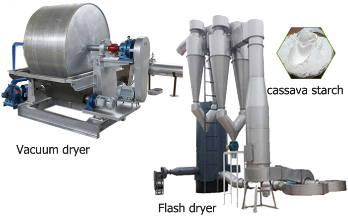 Starch obtained from cassava roots