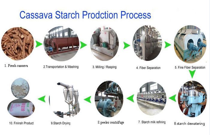 how to produce starch from cassava