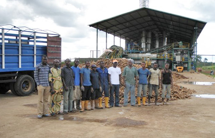 business plan for cassava flour processing plant