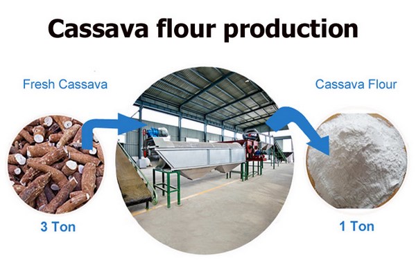 cassava flour production business plan