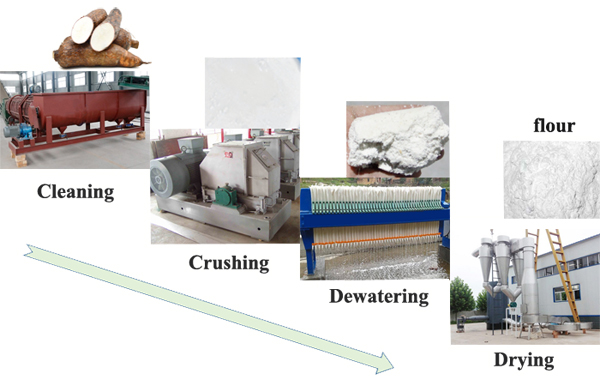 cassava flour production process