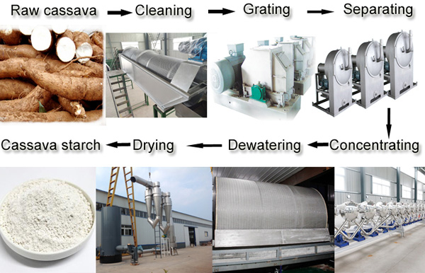 Tapioca flour production machine
