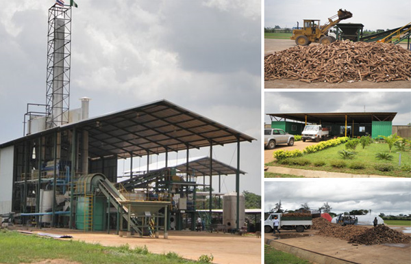 cassava flour production plant