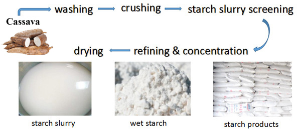 cassava starch production process