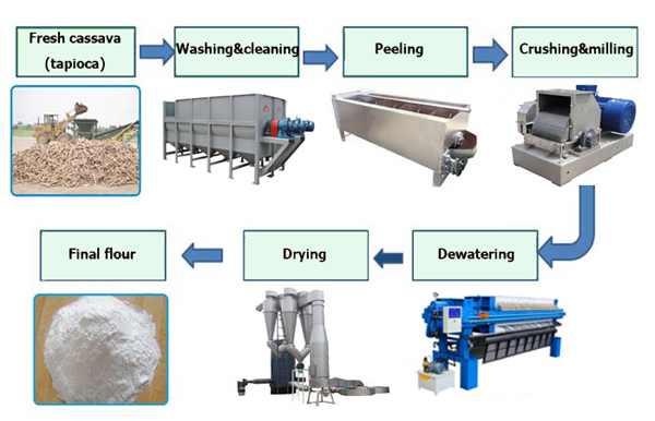 cassava flour production process