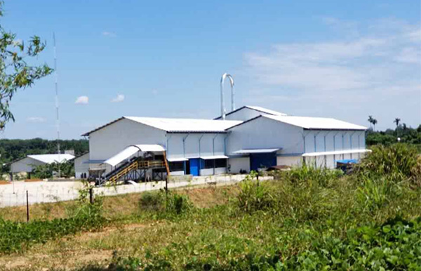 cassava flour processing factory