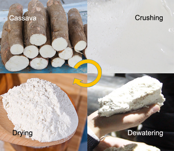 cassava flour production process