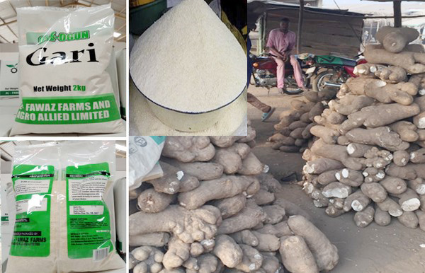 garri production process