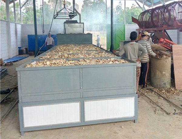 tapioca chips dryer