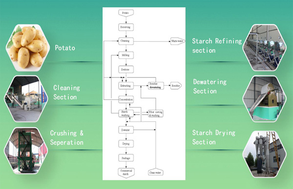 potato starch production line