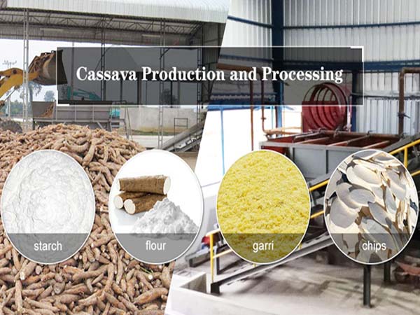 cassava products