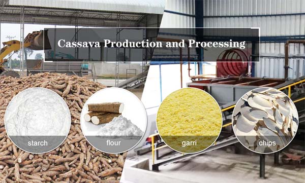 cassava production machines