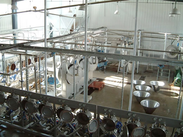 tapioca starch production factory