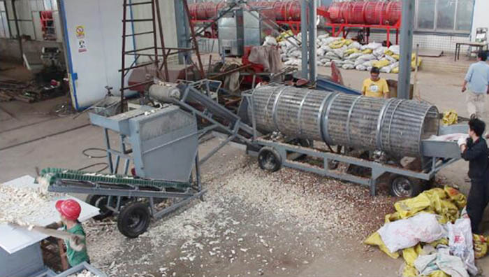 cassava chips making machine