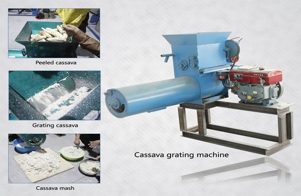 cassava grater