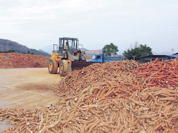 cassava production machinery
