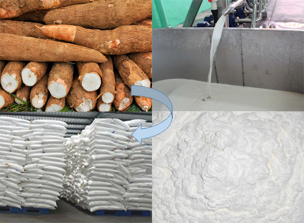 cassava starch production plant