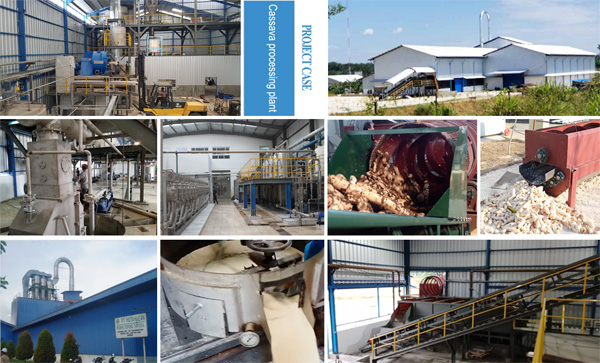 cassava processing equipment